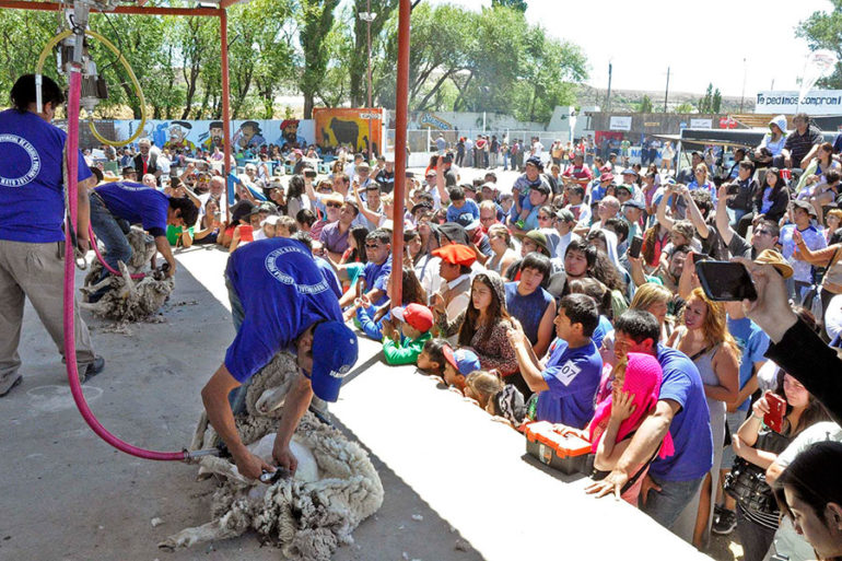 Se presentó en Sarmiento la 37° Fiesta Nacional de la Esquila