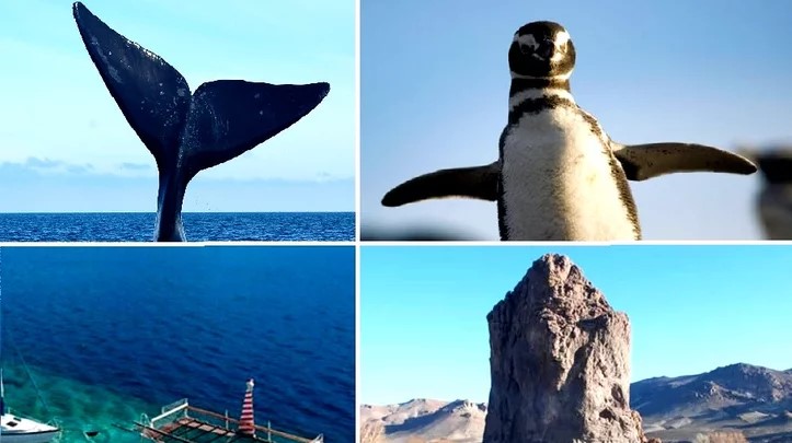 Chubut busca posicionarse en el mercado europeo en una nueva edición de la Feria Internacional de Turismo de Madrid