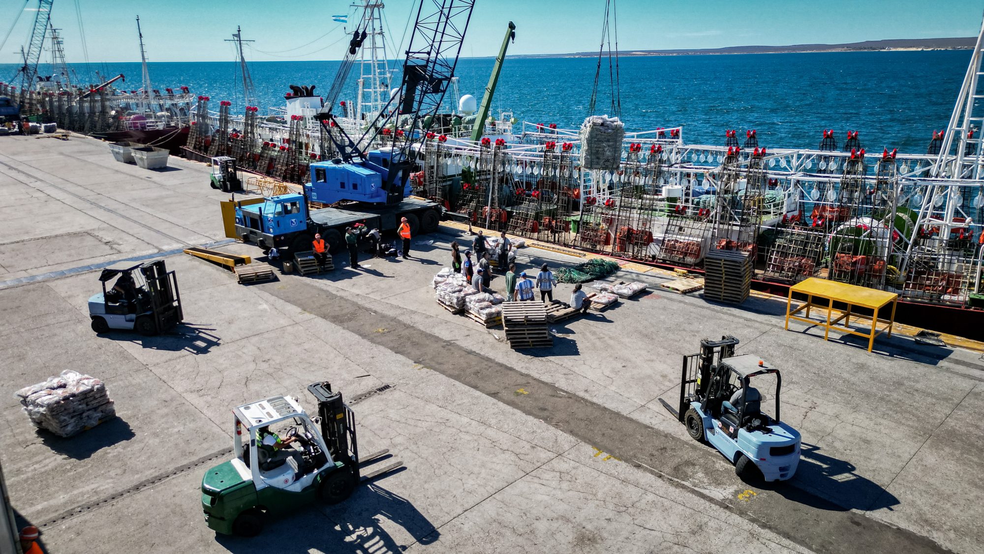 Provincia fortalece el crecimiento de la Industria pesquera