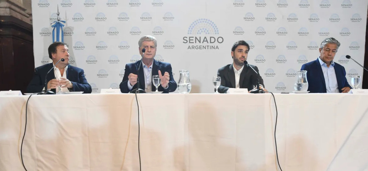 Torres y gobernadores patagónicos piden diálogo e invitan a Milei a un encuentro en Madryn