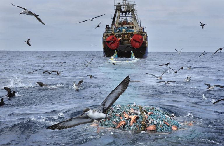 Pesca en Chubut: “Las empresas tienen las cámaras llenas, hay muy poca comercialización, una situación conflictiva con los gremios y este combo hace que le negocio sea ruinoso”