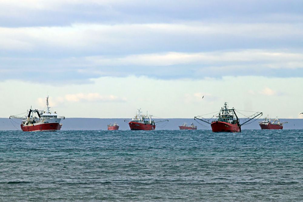 La CAPIP le pidió a Arbeletche finalizar la temporada de langostino en Chubut por la conflictividad permanente con los sindicatos