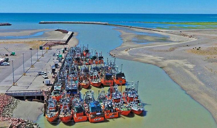 Arde la pesca en Chubut: El SUPA inicia desde hoy medidas de fuerza contra un grupo de empresas de estibaje de Rawson