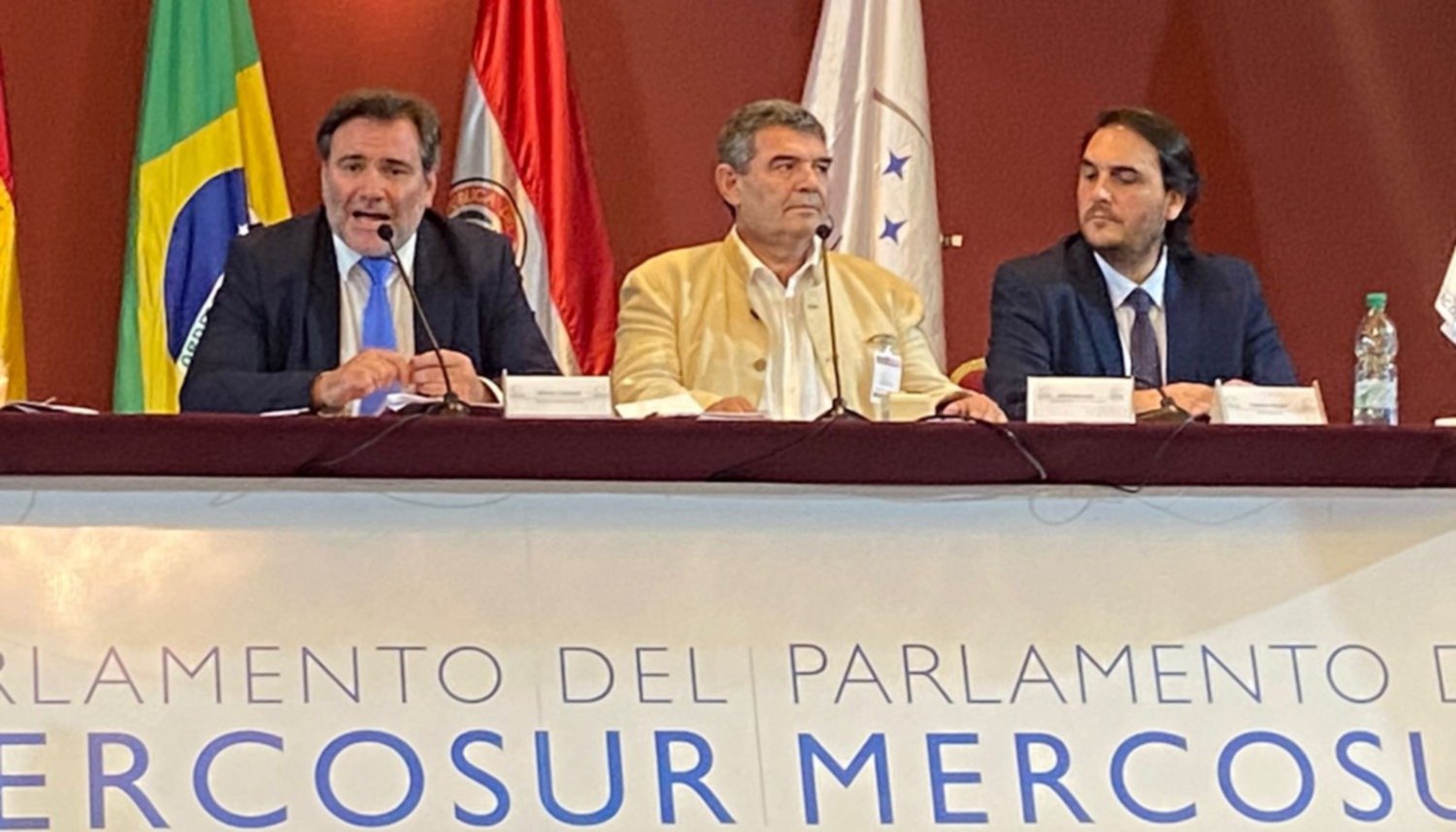 Arde la interna en La Libertad Avanza: Corrieron a Olmedo de la presidencia del Parlasur