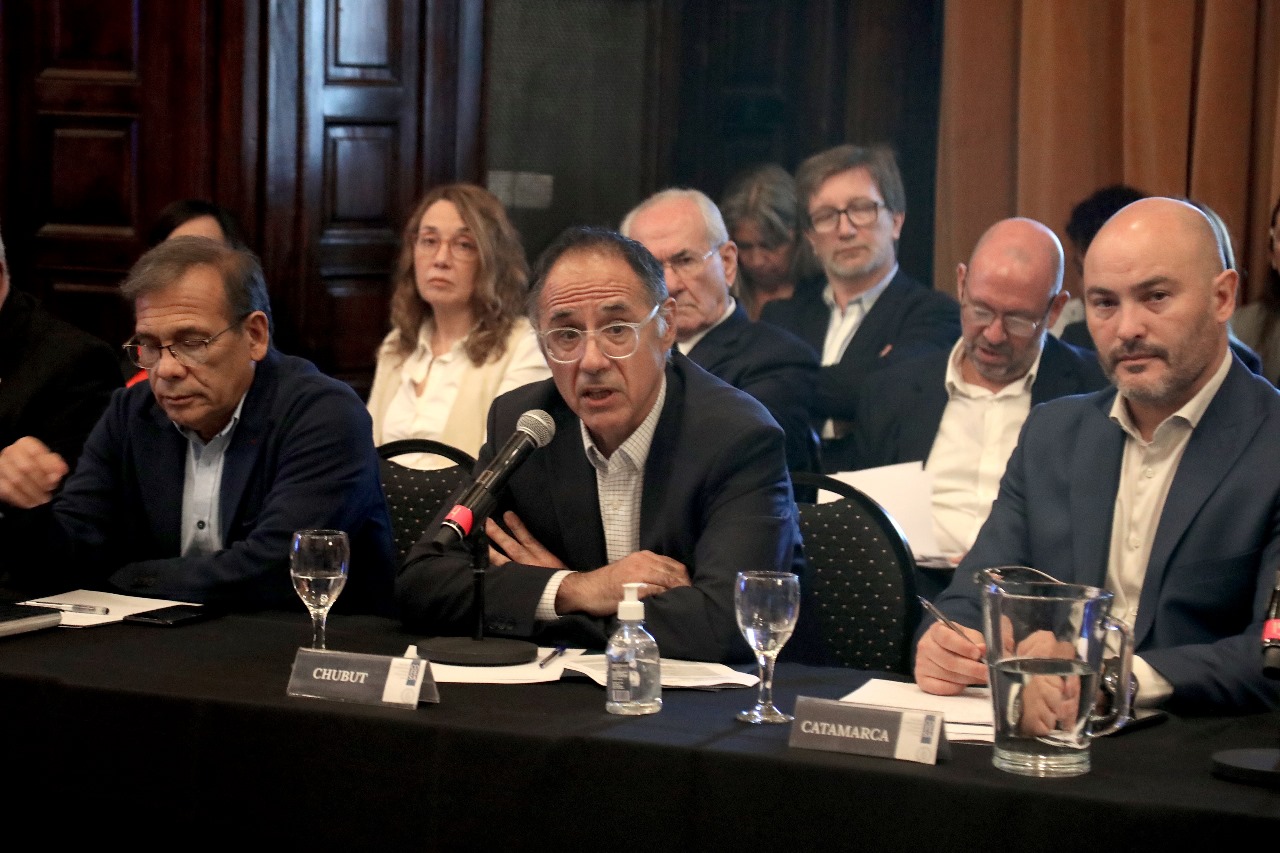 Chubut destacó la importancia de haber participado de la primera reunión del año del Consejo Federal de Salud