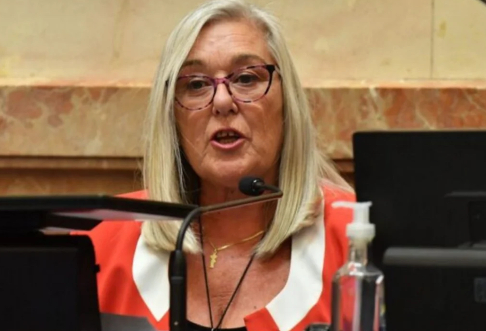 Edith Terenzi: “No se reunió nunca el Consejo Federal Pesquero en la gestión de Milei”