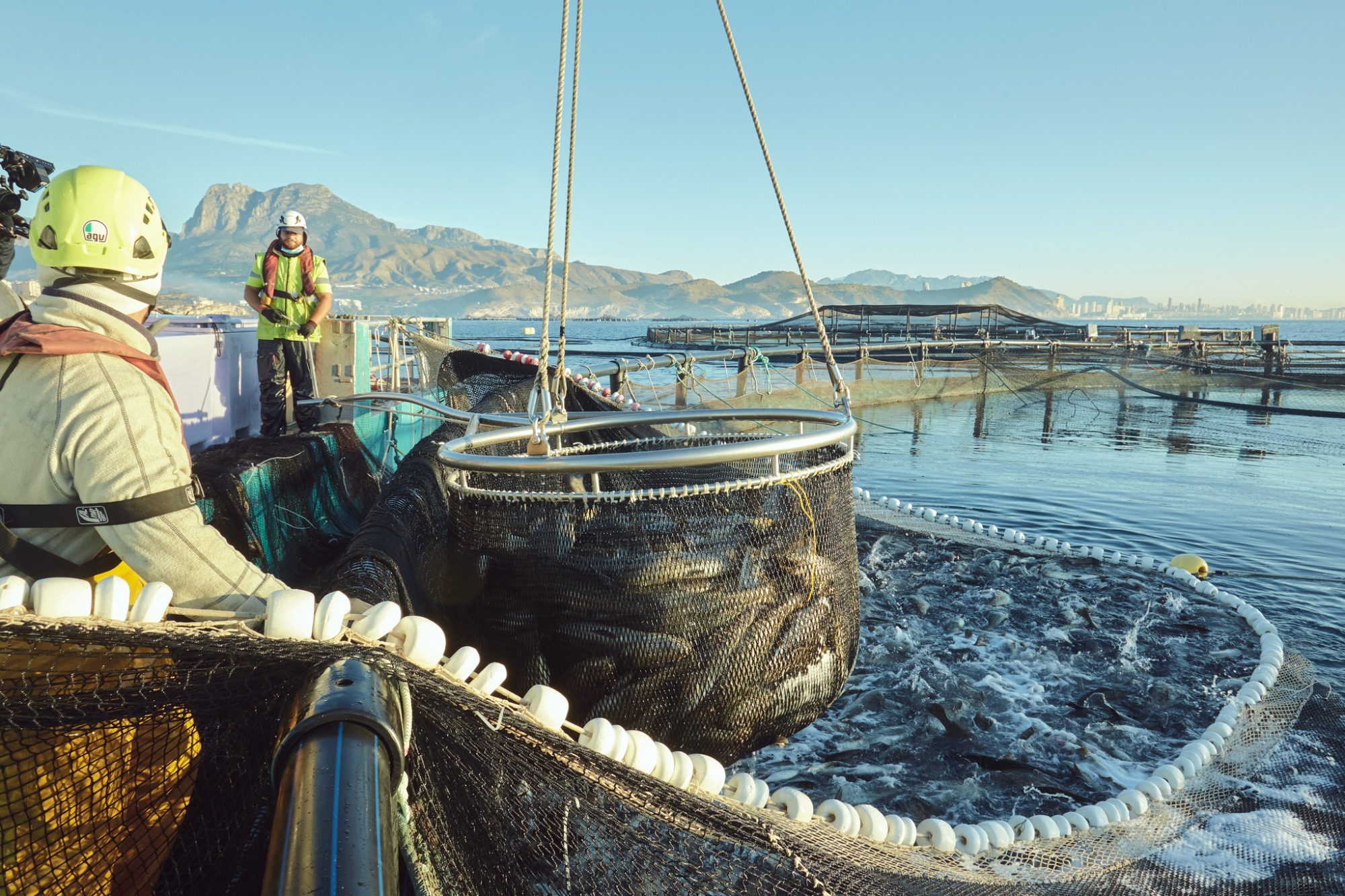 Afirman que la acuicultura argentina será récord en creación de empleo y divisas en 2024 con un crecimiento del 200%