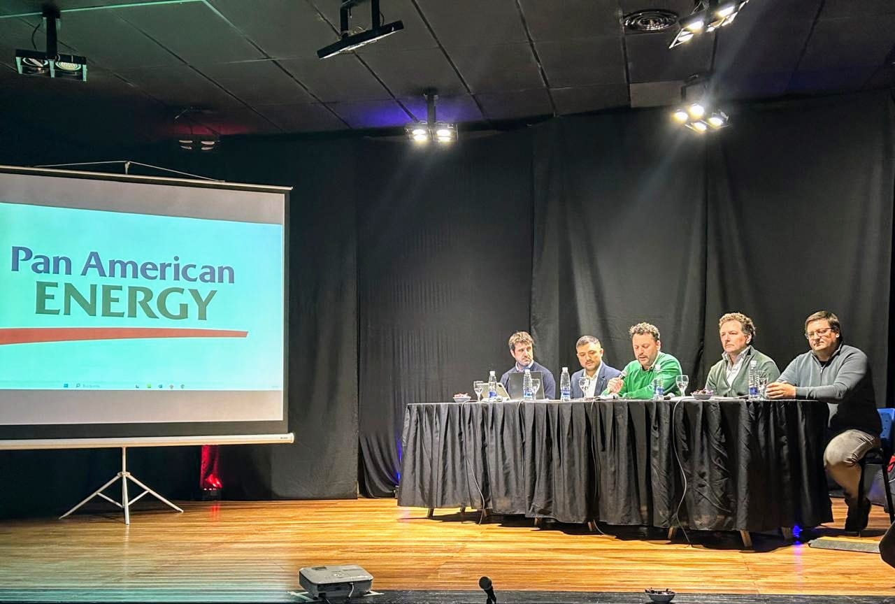 Chubut: El Gobierno llevó a cabo la audiencia pública por la Estación Transformadora en Cerro Dragón III