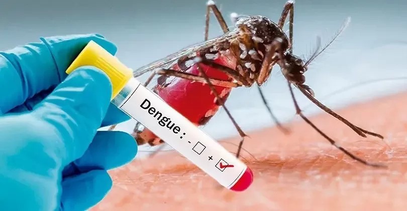Chubut está entre las tres provincias del país con menor tasa de contagios de dengue con 16 cada 100.000 habitantes