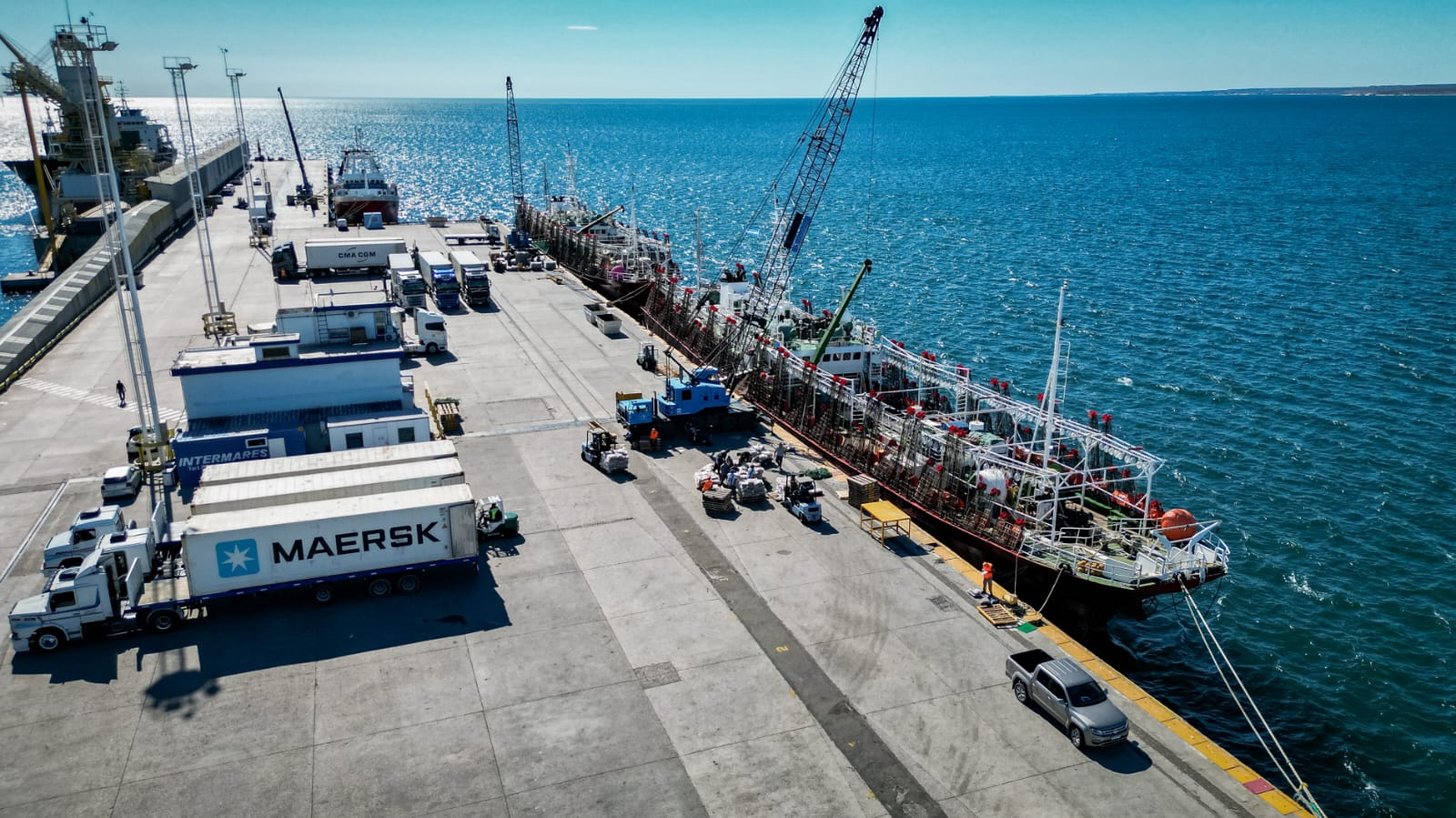 Madryn: Las terminales portuarias registran un notable crecimiento de descargas pesqueras de calamar, superando las cifras del año anterior