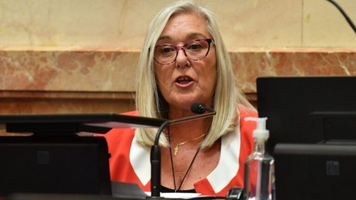 Malestar con Terenzi en el PRO y la UCR de Chubut por votar a favor del aumento de senadores