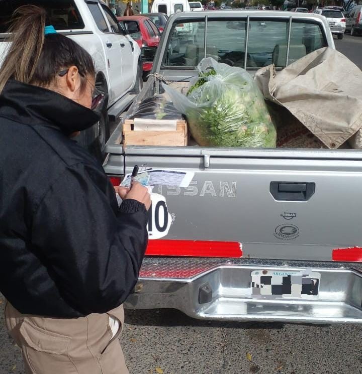 De a poco, y con presencia diaria de inspectores en la calle, se regularizan los servicios de transporte en Trelew