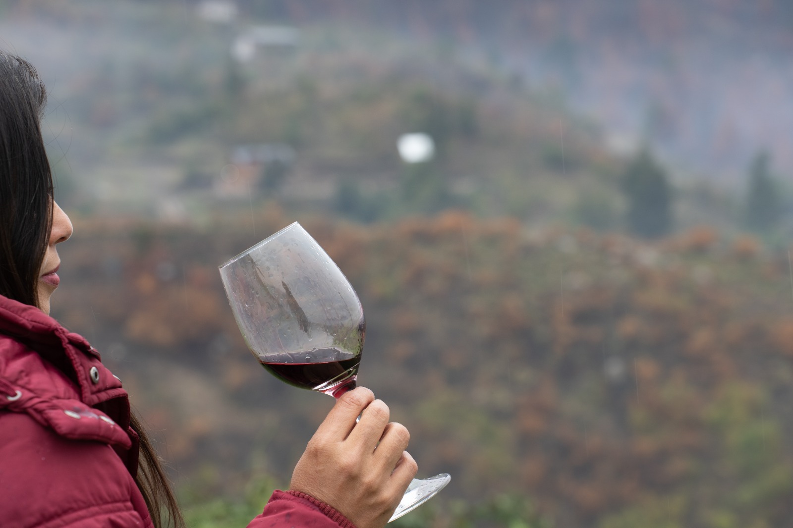 Provincia convoca a bodegas chubutenses a participar del “Día Mundial del Malbec”