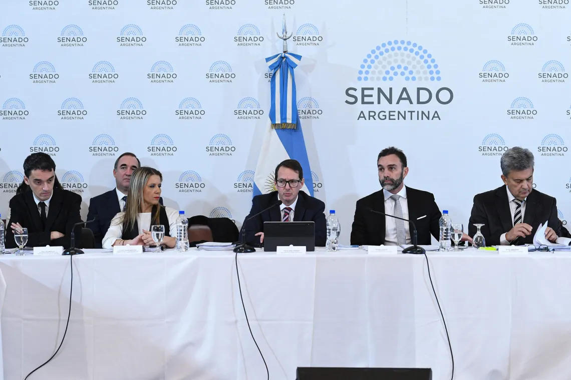 Ley Bases: El Senado retoma este lunes el tratamiento en comisión