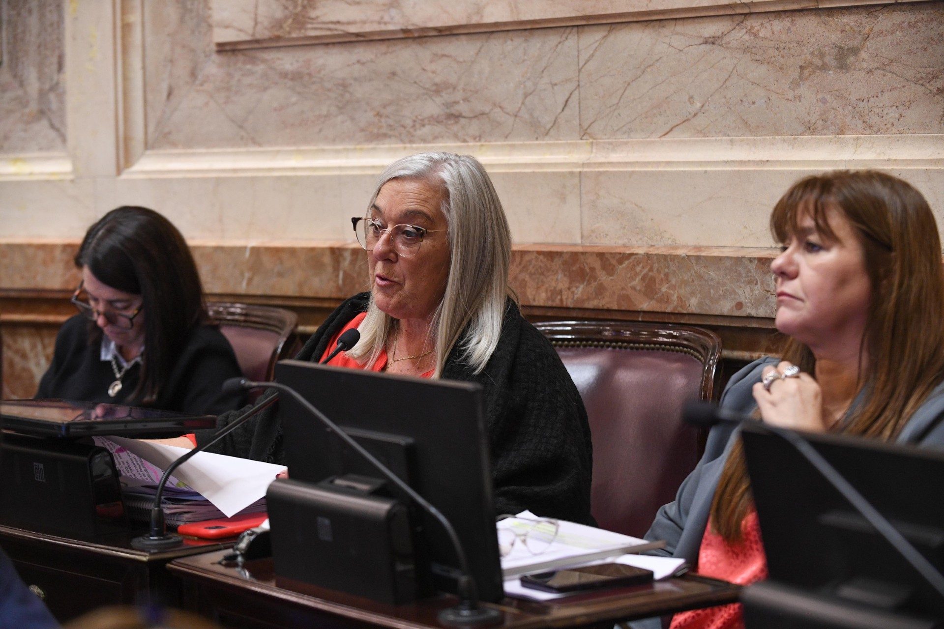 Terenzi sobre la exposición de Posse en el Senado: “Genera preocupación porque no hubo precisiones si continuarán o se paralizarán las obras en rutas o aeropuertos de Chubut”