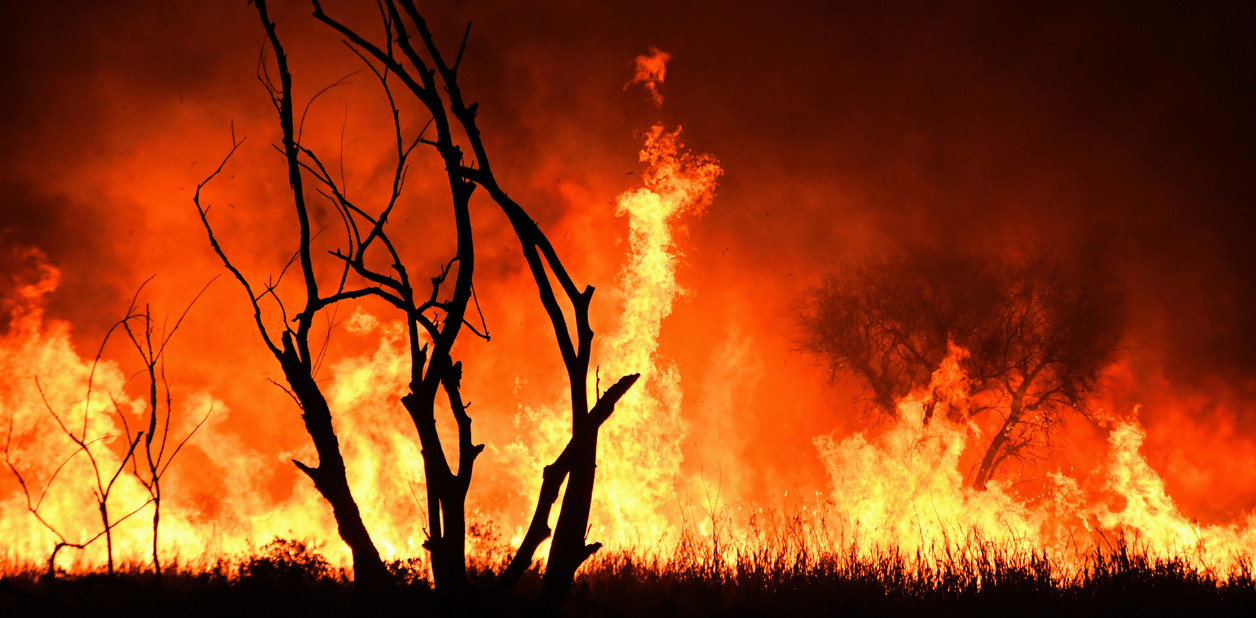 Preocupación en Brasil: Los incendios en los humedales alcanzaron niveles récord