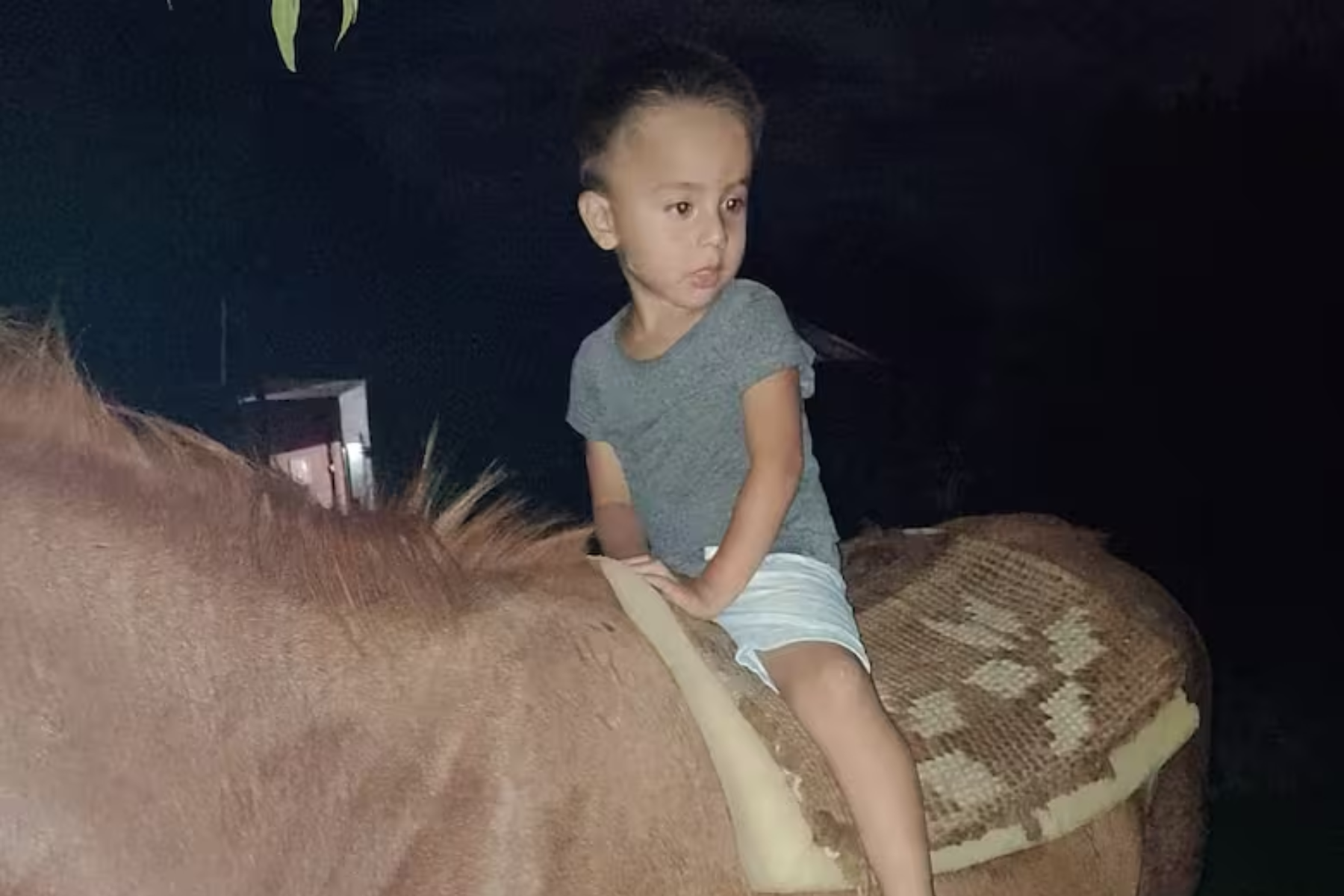 Caso Loan: Una joven denunció haber visto al menor en Chaco