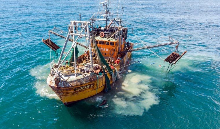 No hubo acuerdo entre el SOMU y la Flota Amarilla por el precio del kilo de langostino y se tensa la negociación