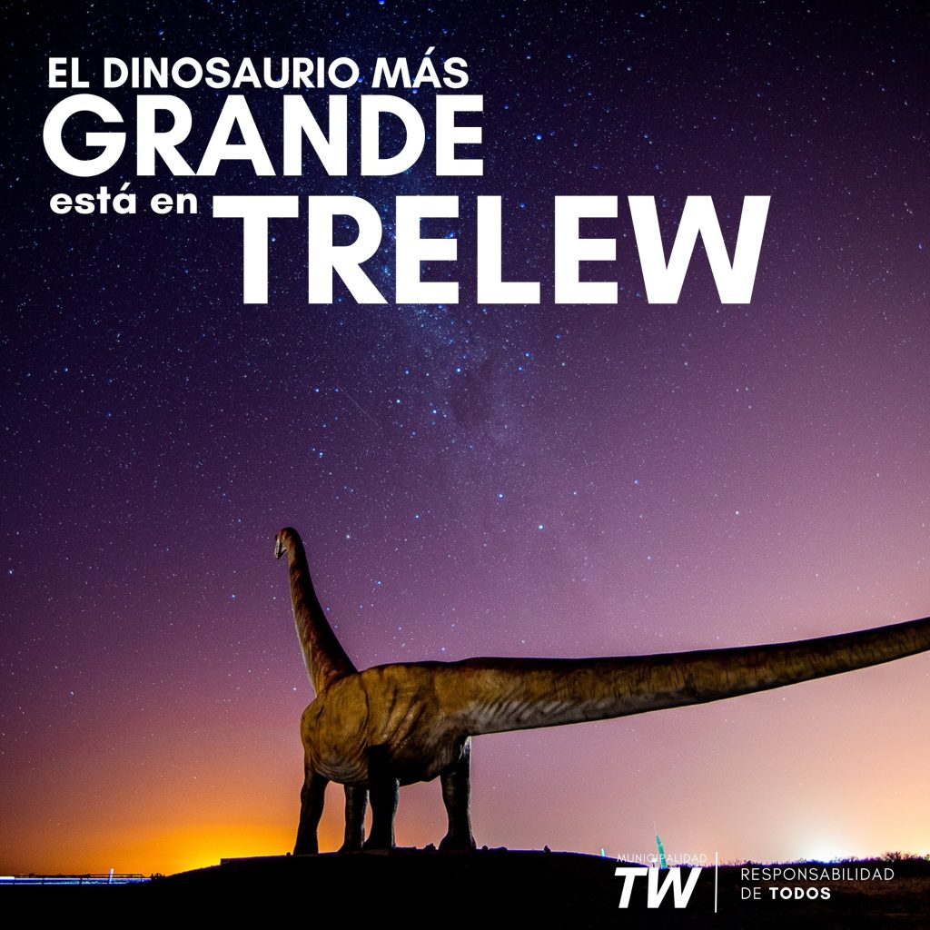 Esta imagen tiene un atributo alt vacío; el nombre del archivo es BANNER-DINO-7-1-1024x1024.jpg