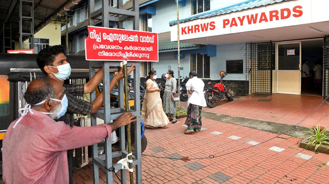 Alarma en India tras la muerte de un chico de 14 años por el virus Nipah