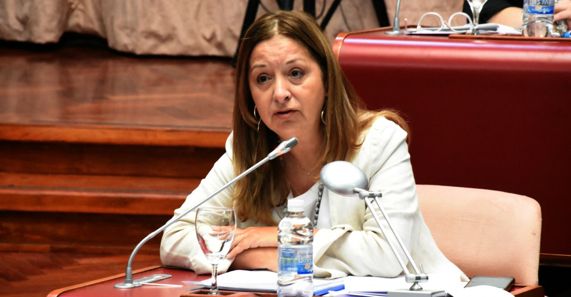 Andrea Aguilera: “Se capacitará a los docentes para que puedan abordar la ley de ludopatía en las aulas”