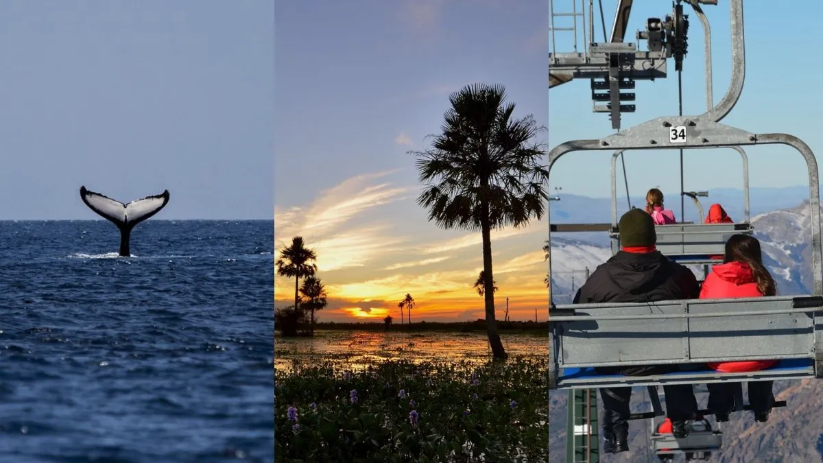 Crisis en el turismo: Aseguran que el poder adquisitivo bajó y repercute en las reservas