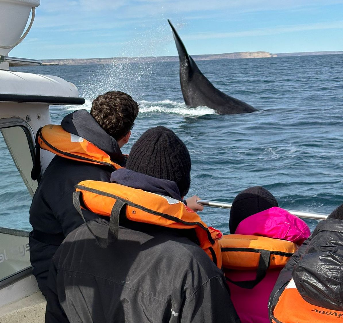 Puerto Madryn muestra su destino y servicios a operadores e influencers internacionales