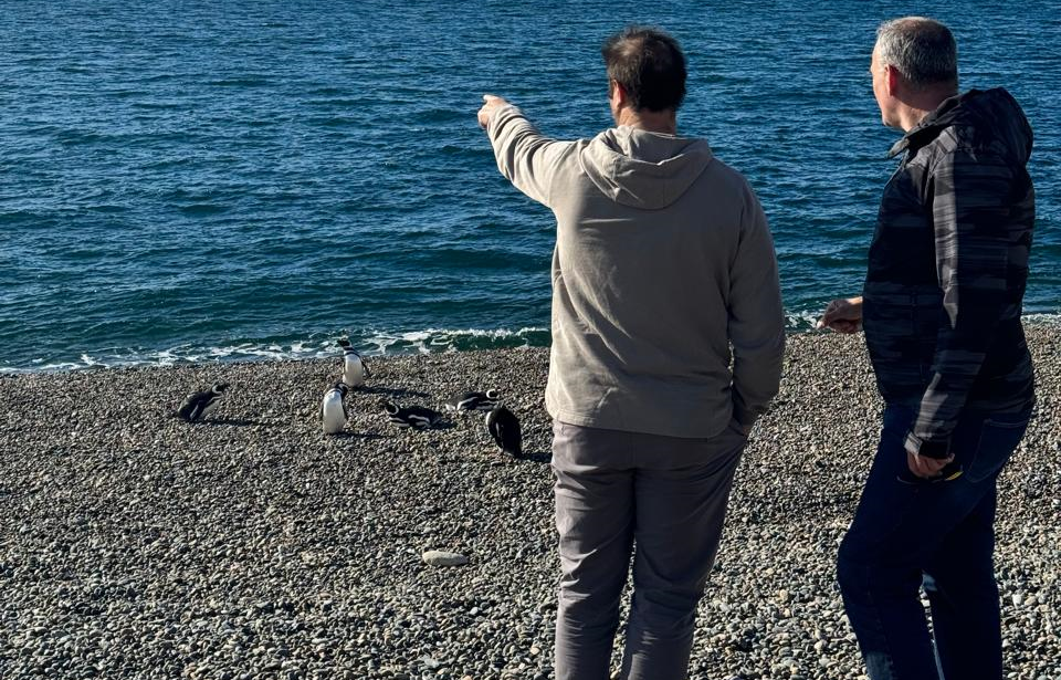 Funcionarios de Turismo y Ambiente recorrieron la colonia de pingüinos El Pedral