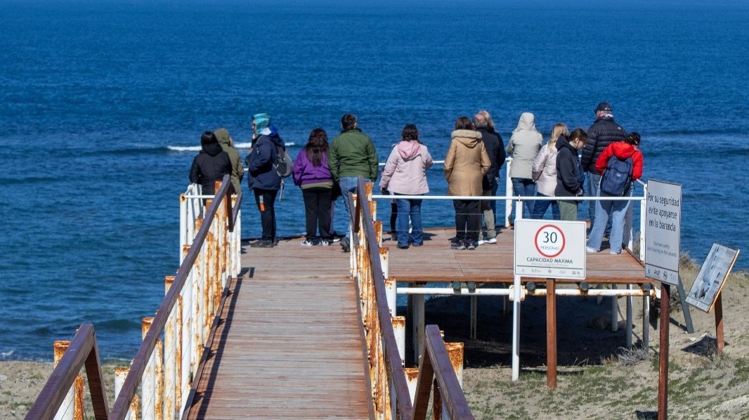 Periodistas e influencers llegaron a Madryn para promocionar el destino de cara a la temporada de verano