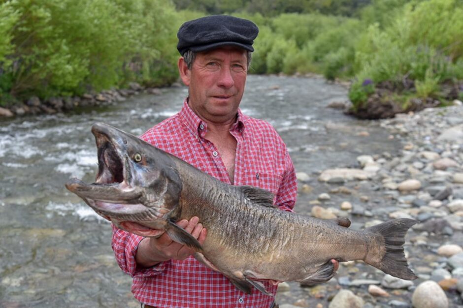 El 1 de octubre se abre la Temporada de Pesca del Salmón en Carrenleufú