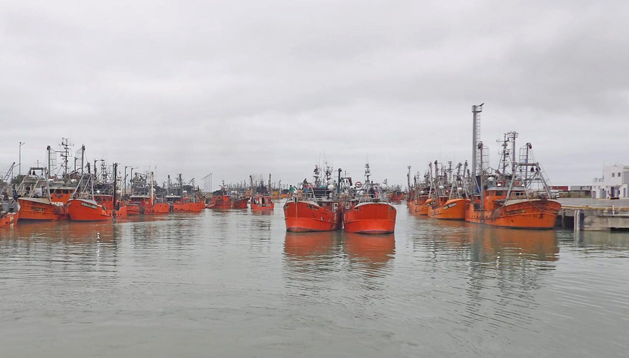 Humo blanco: La Flota Amarilla y el SOMU sellaron un acuerdo y arranca la temporada de pesca en Rawson