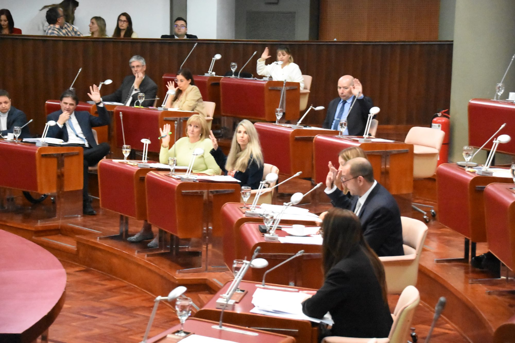 La Legislatura del Chubut aprobó un nuevo artículo en el Código Procesal Penal para agilizar la restitución de inmuebles usurpados
