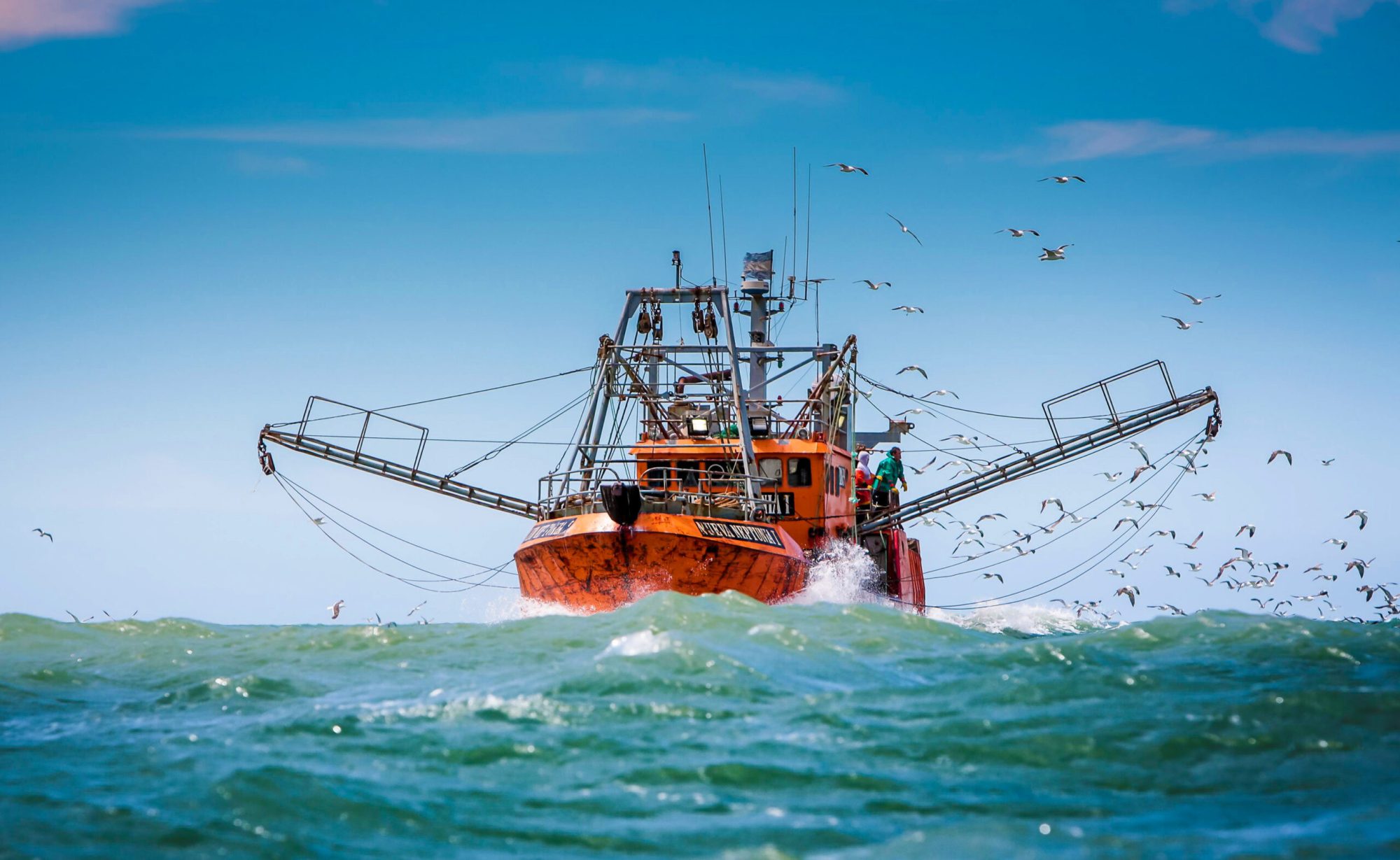 Por los buenos resultados, la diplomatura en Economía Pesquera volverá a dictarse en 2025