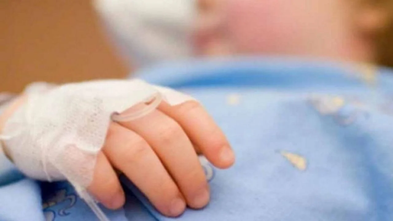 Horror en Córdoba: Una nena de 3 años fue atacada por un perro rottweiler y está hospitalizada