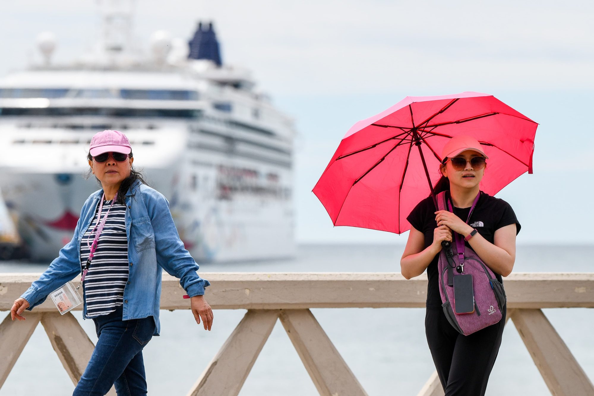 Puerto Madryn inició el 2025 con crucero, gastronomía y turismo nacional