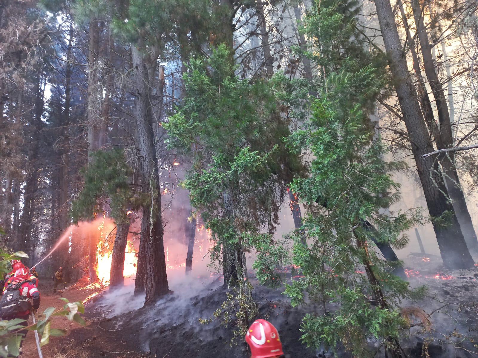 El incendio en la zona de Los Cipreses está controlado y las tareas continuarán hasta extinguirlo por completo