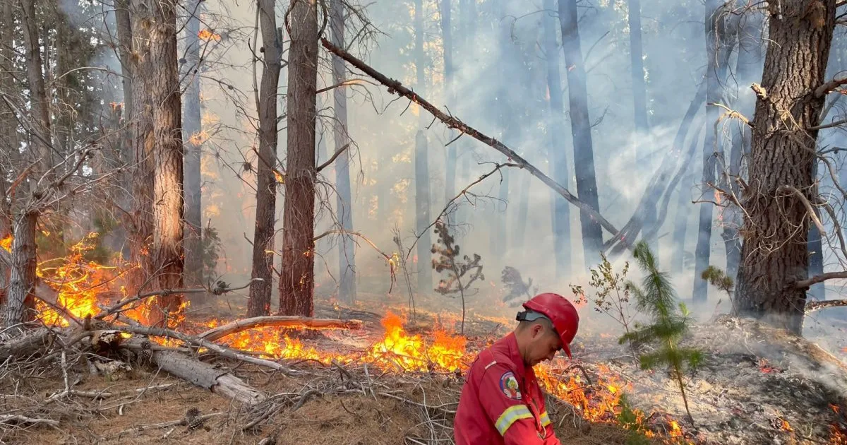 Incendio en Los Cipreses: En menos de 48 horas se quemaron unas 100 hectáreas