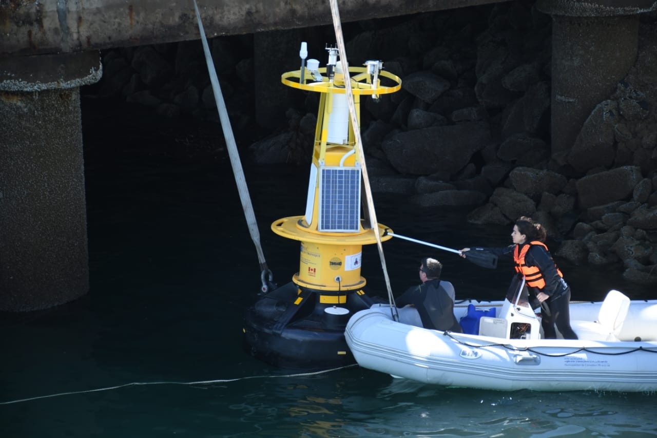 Comodoro Conocimiento realizó una prueba de funcionamiento de la boya oceanográfica en el Puerto local
