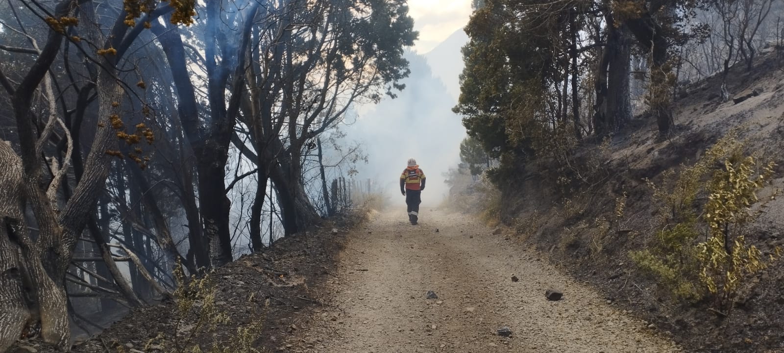 Chubut: Más de 400 personas y un importante despliegue de medios aéreos participan del operativo para controlar el incendio en la zona de Epuyén