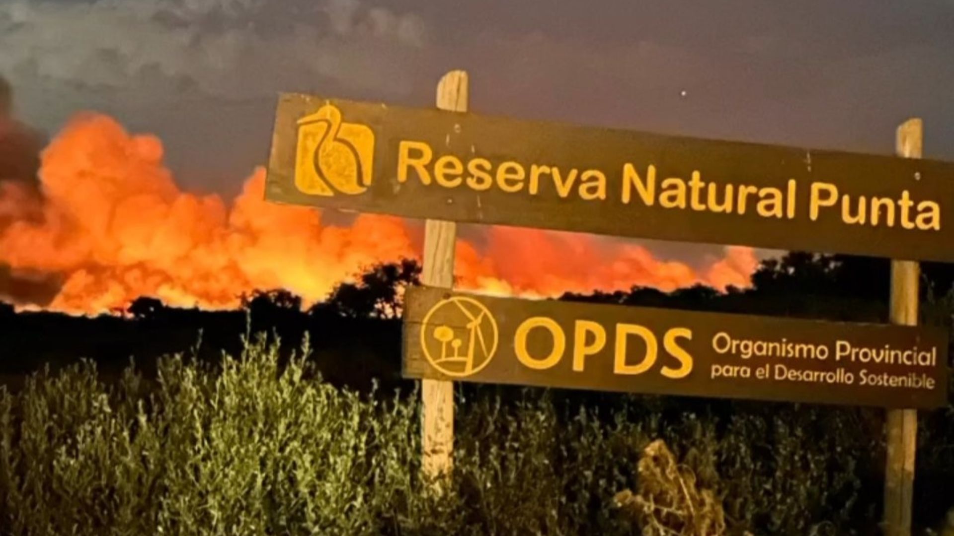 El incendio en la Reserva Natural de Punta Lara fue contenido