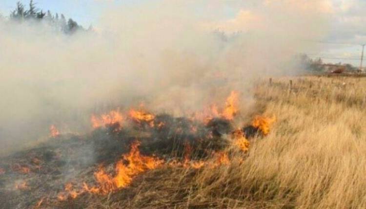 Trelew: Ante los altos índices de riesgo de incendio, advirtieron que está prohibida la quema de pastizales
