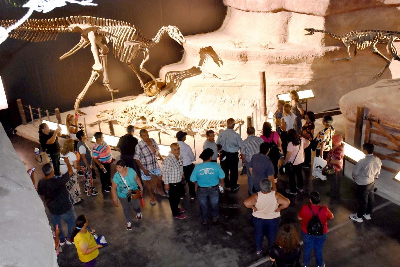 Adultos mayores del interior provincial visitaron el renovado Museo Egidio Feruglio