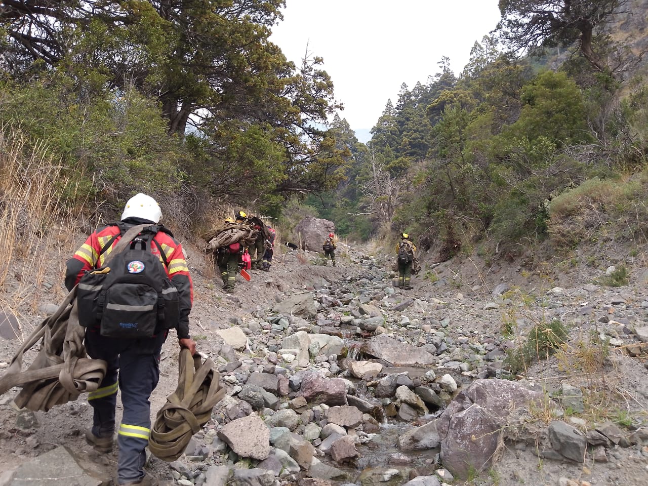 Incendio forestal en Trevelin: Cerca de 100 personas y medios aéreos intervienen en el operativo