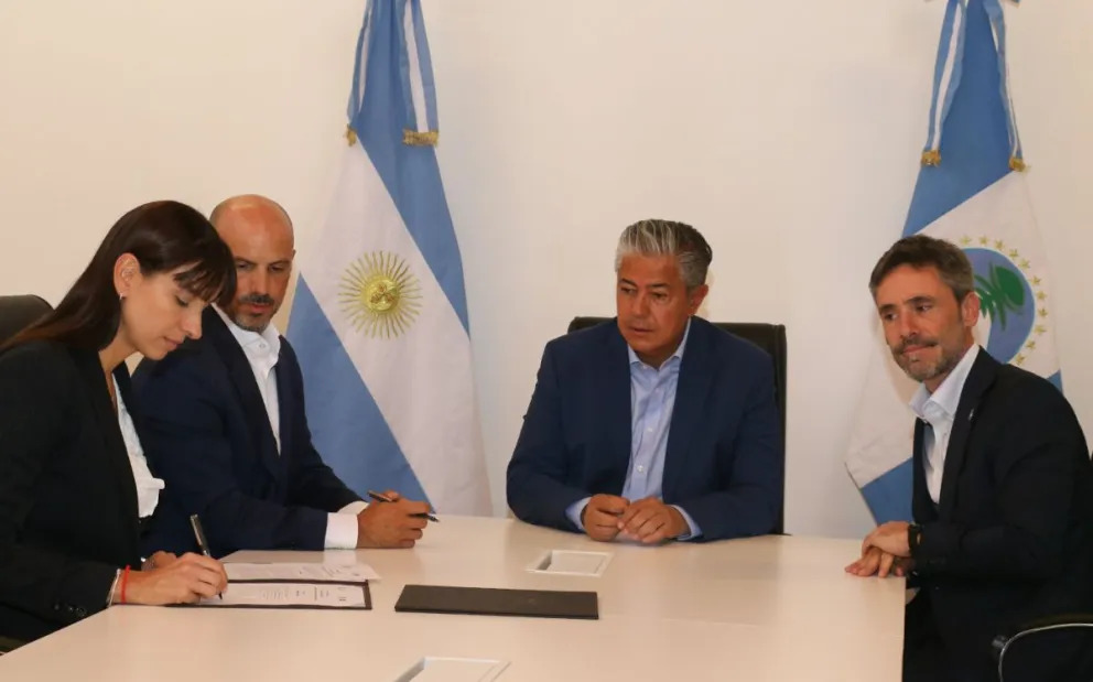 Neuquén destinará recursos del Consejo Federal de Inversiones para el “día después” de los incendios