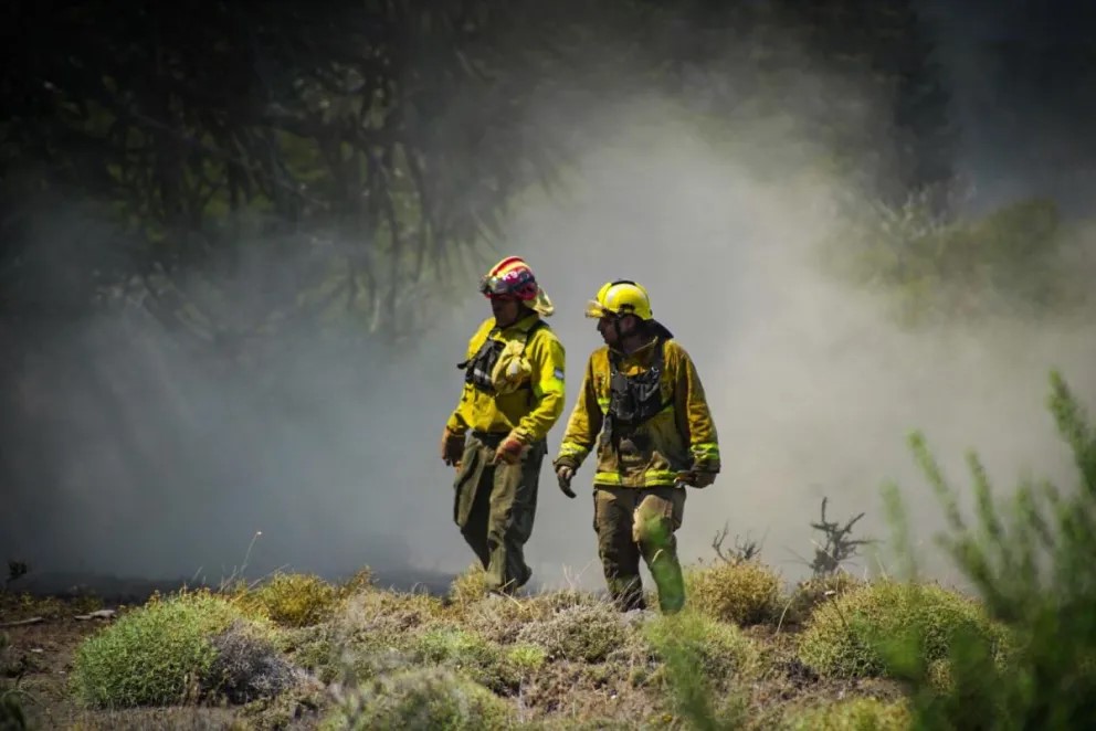Neuquén agradeció la solidaridad de los bomberos que llegan de otras provincias para combatir el fuego en Parque Lanín