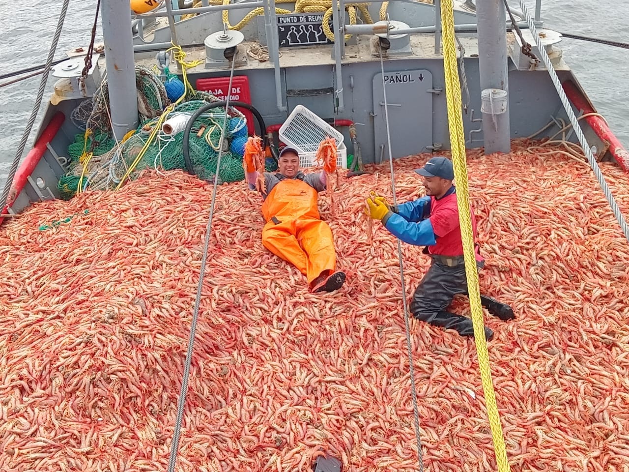 Rawson cerró enero con 27.000 toneladas de descargas, ya suma casi 80.000 en lo que va de la temporada, pero el escenario comercial no acompaña