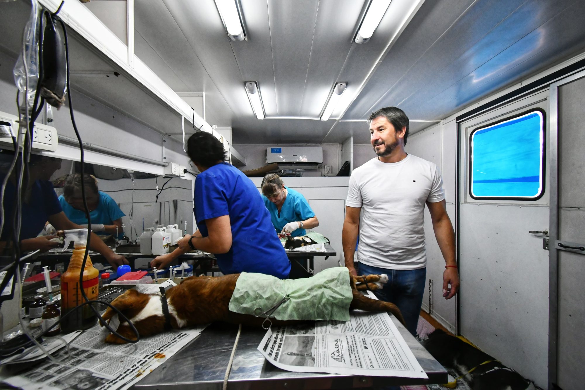 Trelew realizó más de 60 intervenciones en perros y gatos en la primera salida del quirófano móvil