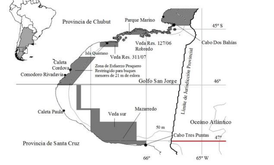 Chubut advierte al Consejo Federal Pesquero por el perjuicio de toda la pesquería si Santa Cruz rompe la veda en Golfo San Jorge