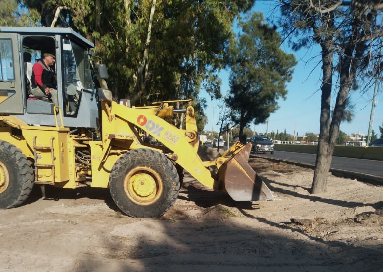 Rawson: Ambiente Municipal avanza con los trabajos de forestación en el barrio Luis Vernet  