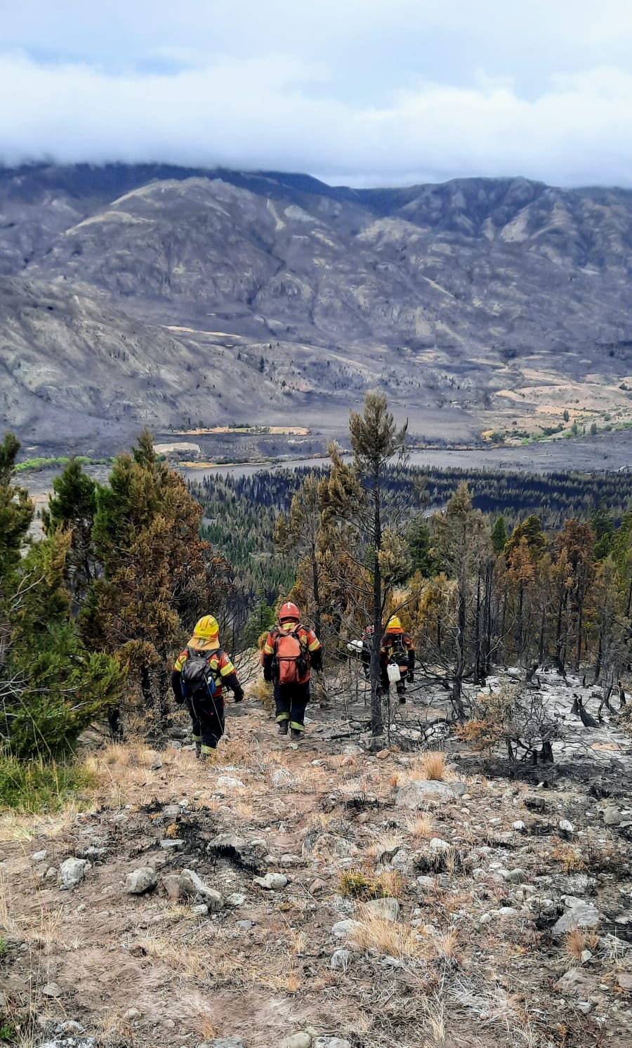 Trevelin: Luego de un fuerte despliegue de brigadistas se logró contener el incendio forestal
